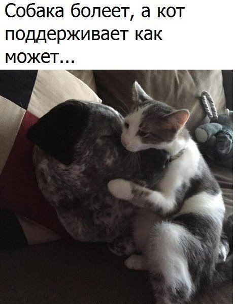  - ,  - 15  2017  03:55