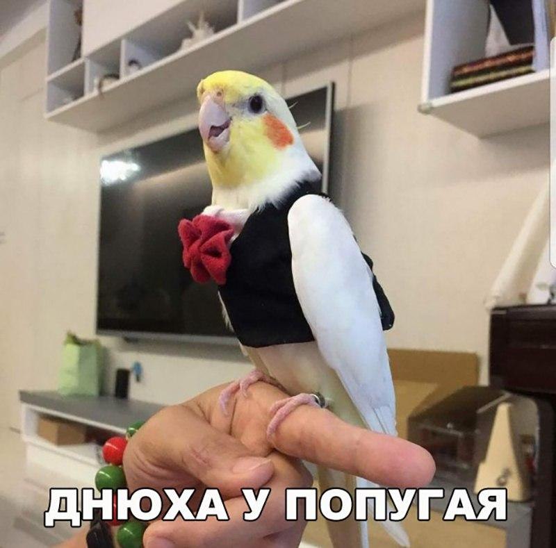   - 2  2017  11:34