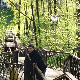 � ������ �, ������, 36 ���