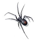 ���� Mihail, ���������, 30 ��� - ��������� 17 ������� 2017 � ������ ������ ��������