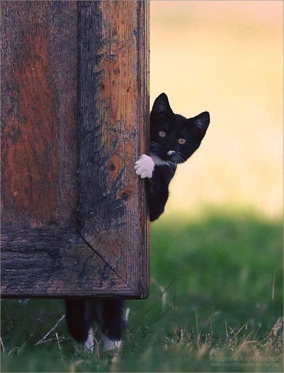 � �� ��� �����,���� �� ������...))