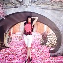 ���� �����, ����������� - ��������� 21 ���� 2017 � ������ ���� ����������