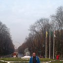 ���� �������, ������-��-����, 51 ��� - ��������� 11 ���� 2017 � ������ ���� ����������