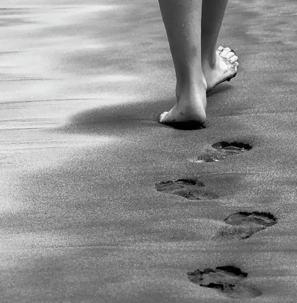    -,       ,   ,   ...