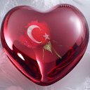 ���� Vuqar, ����, 52 ���� - ��������� 26 ���� 2017 � ������ ���� ����������