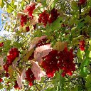 ���� �������, ����� - ��������� 9 ������� 2017 � ������ ������ ��������