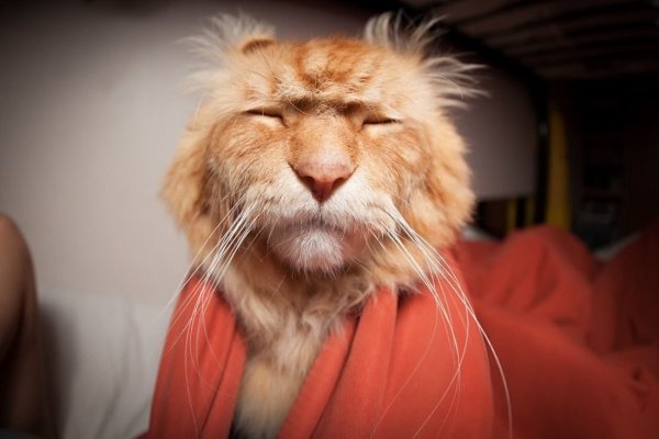 �� ���� � ������ �������� �������... � � ��� �� � ����� ����������, ��� ����� ���������� � ...