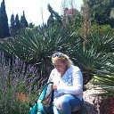 ���� �����, ����, 51 ��� - ��������� 4 ���� 2017 � ������ ���� ����������