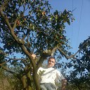 ���� ������, �������, 45 ��� - ��������� 12 ������ 2017 � ������ ���� ����������