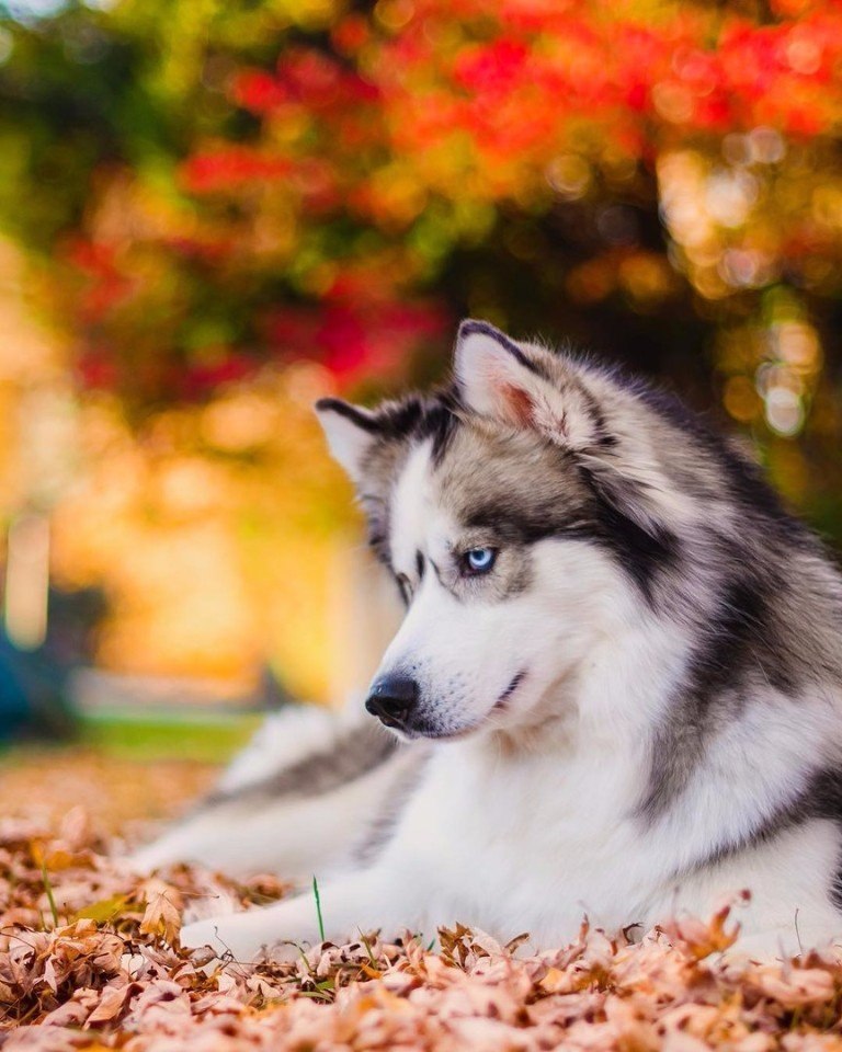 E s t h e t i q u e - 11  2017  23:53 - 3