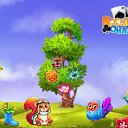 ���� �����, �������� - ��������� 8 ������� 2017 � ������ �������� �������-�������