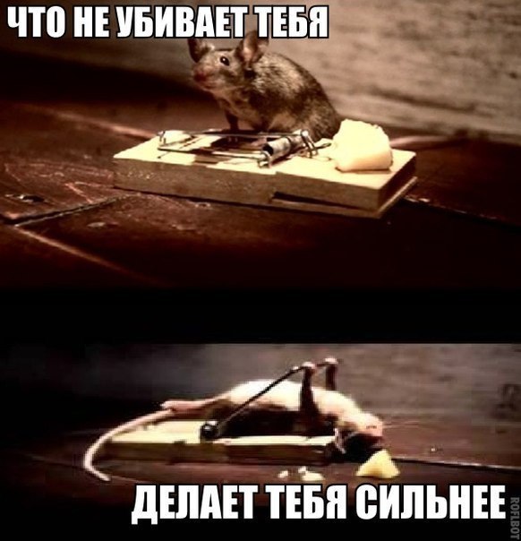 ����� � ������� - 2 ������� 2017 � 06:31