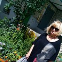 ���� ��������, ������� - ��������� 11 ���� 2017 � ������ ���� ����������