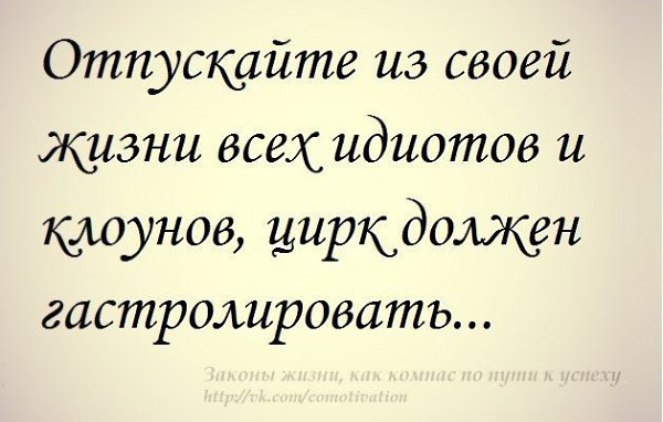 Жизнь это цирк. Высказывания о цирке. Про цирк цитаты смешные. Жизнь это цирк. Цирк должен гастролировать.