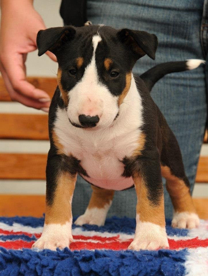 Уважаемые участники группы!)).Всем хорошего настроения в Буле-Городке))) Надеемся что в нашей группе ...