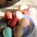 ���� ���� ��������, �����-��������� - ��������� 1 ��� 2017 � ������ �������