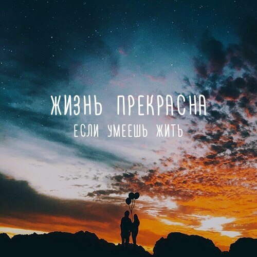 . - 13  2017  16:49