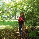 ���� �����, ������, 51 ��� - ��������� 31 ������� 2017 � ������ ���� ����������