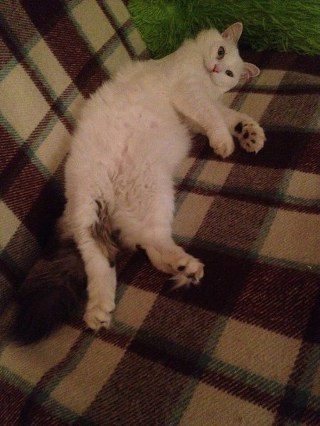 #_. 4,5           .   ... - 3