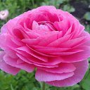 ���������� �� ������� ���������� �����