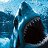 ���� Shark, ����������� ����, 41 ��� - ��������� 23 ���� 2017