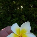 ���� ������, ��������, 58 ��� - ��������� 14 ���� 2017 � ������ ���� ����������