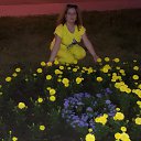 ���� ����, ������, 41 ��� - ��������� 4 ������� 2017 � ������ ���� ����������