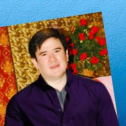 Sherzod, �������, 40 ���