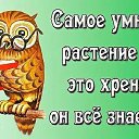 ���� �������, ������, 57 ��� - ��������� 31 ������� 2017 � ������ ���� ����������