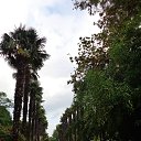  , , 60  -  24  2017   ,&quot;   ..&quot; ,22.10.17