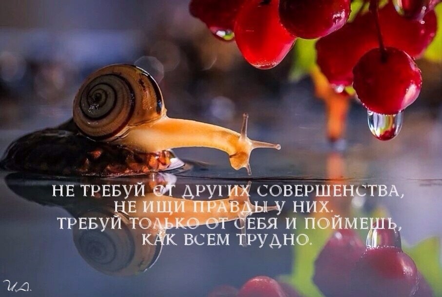   - 4  2017  09:39
