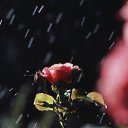 ���� 165656, �������, 38 ��� - ��������� 4 ������ 2017 � ������ ���