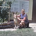 ���� ��������, ������� - ��������� 17 ���� 2017 � ������ ���� ����������