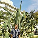 ���� �������, ����, 70 ��� - ��������� 11 ������ 2017 � ������ ���� ����������