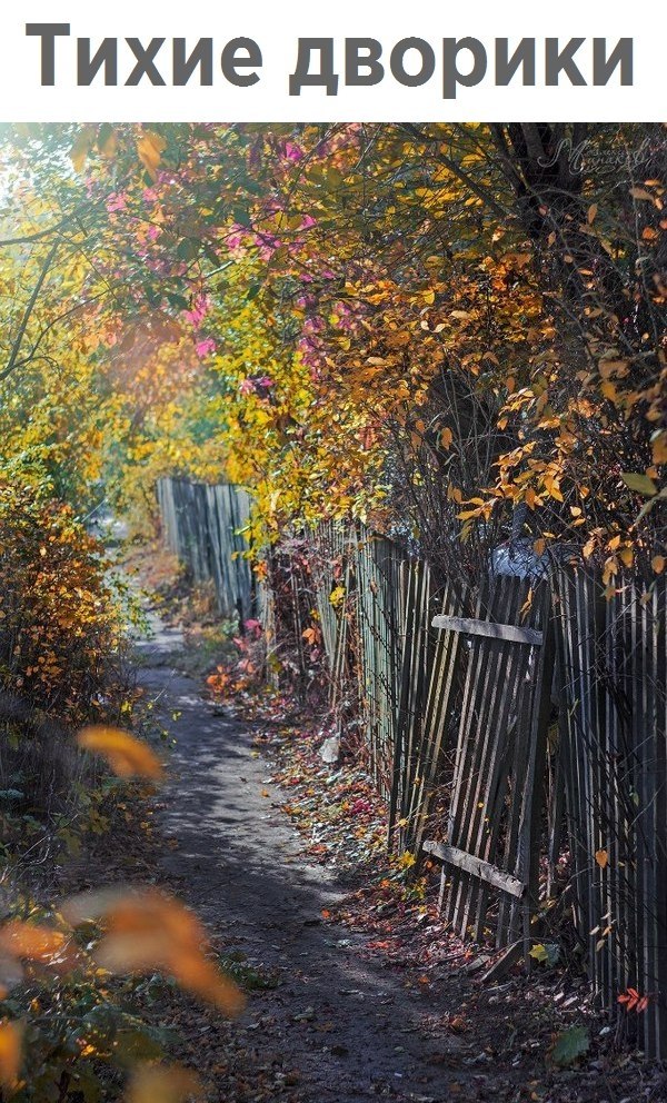 ������ �� ��? - 24 �������� 2017 � 15:45