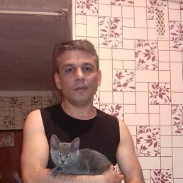 ���� Elchin, ����, 50 ��� - ��������� 29 ���� 2017