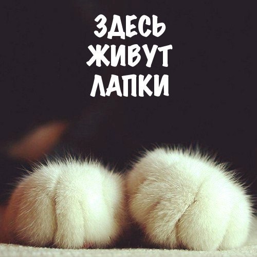 ������ - ��������� - 4 ������� 2017 � 06:24