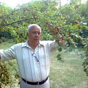 ���� ������, �������, 75 ��� - ��������� 23 ���� 2017 � ������ ���� ����������