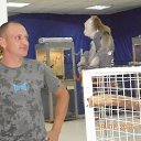 ���� �������, �����������, 42 ���� - ��������� 14 ���� 2017 � ������ ���� ����������