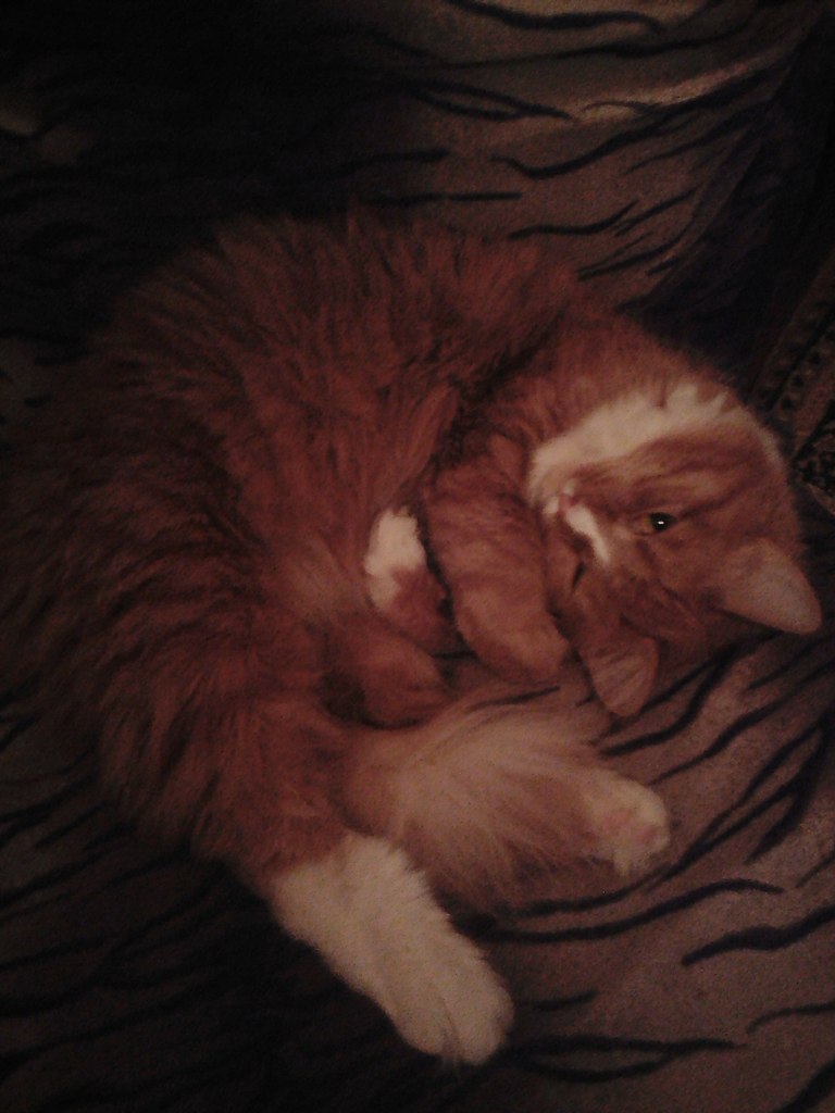 #_. .       - 7 .   , ... - 3