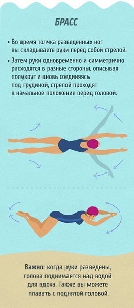 Полный гид для тех, кто хочет научиться плавать как рыба в воде. #полезное@rules4life - 8