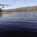 ���� 20.05.17 �� ������� �������� ���������