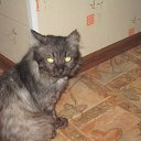 ���� �����, ������-��-����, 47 ��� - ��������� 5 ���� 2017 � ������ ���� ����������