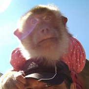 Eduard, 42 ����, ���������