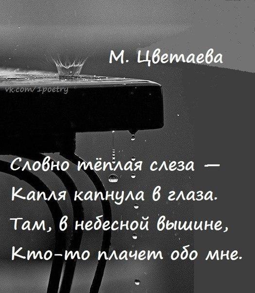 �������� - 24 ���� 2017 � 23:35
