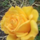 ���� ������, ������� - ��������� 25 ���� 2017 � ������ ������ ��������