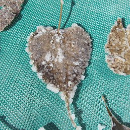 �����, �����-���������