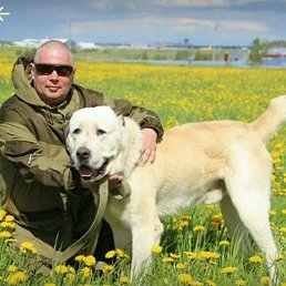 ����, ������, 48 ���