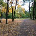 ���� Andrey, �����-���������, 40 ��� - ��������� 31 ������� 2017 � ������ ���� ����������