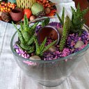���� Vukivu, ������ - ��������� 15 �������� 2017 � ������ ���� ����������